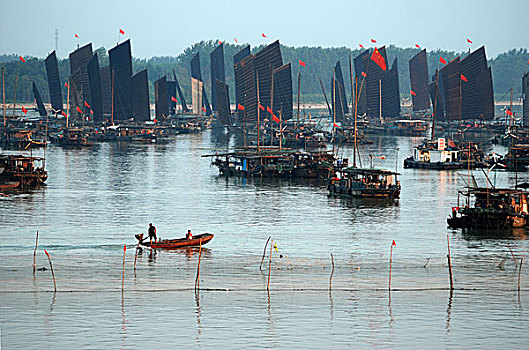 MEIP活躍值，助你輕松邁向獎(jiǎng)勵(lì)之巔
