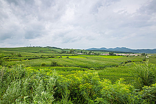男護(hù)工最多多少工資？揭秘行業(yè)潛力與高薪機(jī)會(huì)