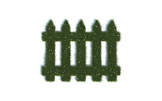 緬因貓一天得吃多少貓糧？科學(xué)喂養(yǎng)，保證健康成長