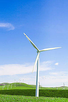 清洗洗衣機一次多少費用？如何選擇性價比高的洗衣機清洗服務？