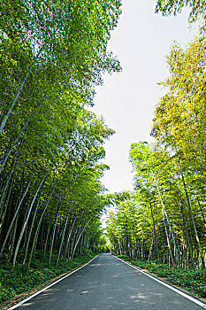 西安育兒嫂工資多少錢？揭開高品質(zhì)育兒服務的薪資秘密