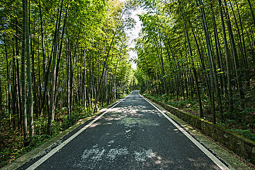 松江家政住家保姆多少錢？全方位解析，助你輕松選擇合適的服務(wù)
