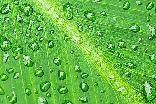 無錫不住家保姆多少錢？為你揭開背后的費(fèi)用秘密！