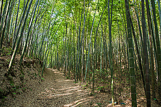 蕪湖保姆多少錢一個(gè)月？了解蕪湖保姆服務(wù)的市場現(xiàn)狀與價(jià)格分析