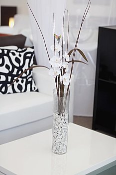 嘉定月嫂價(jià)格大概多少錢？揭秘服務(wù)背后的價(jià)值與市場(chǎng)趨勢(shì)