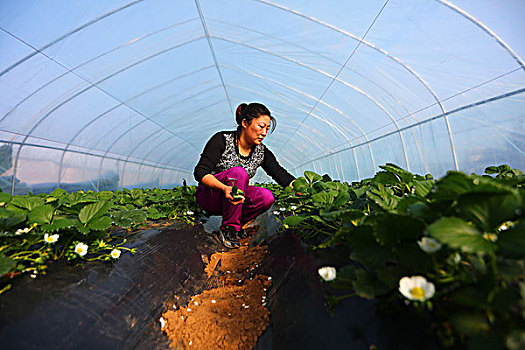 南京住家保姆月薪多少錢？選擇住家保姆的優(yōu)勢與費(fèi)用解析