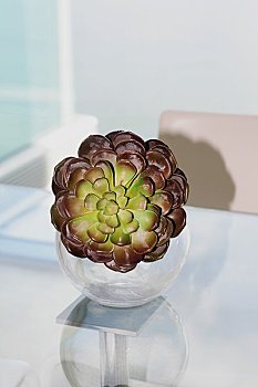 保姆工資一般多少？揭開背后的行業(yè)真相