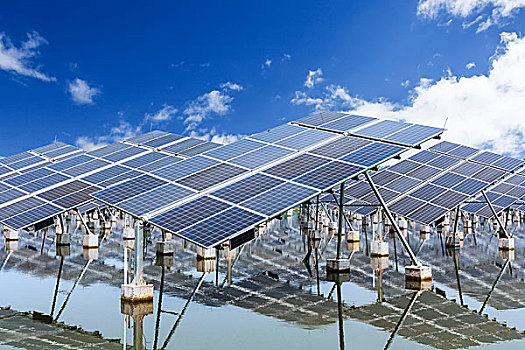 長沙金嫂家政電話是多少？為您提供專業(yè)、高效的家政服務(wù)！