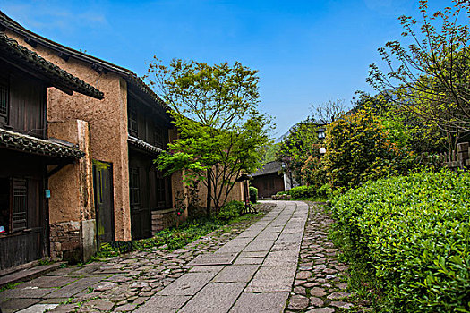 煮飯阿姨多少錢？廣州家庭廚房的新選擇