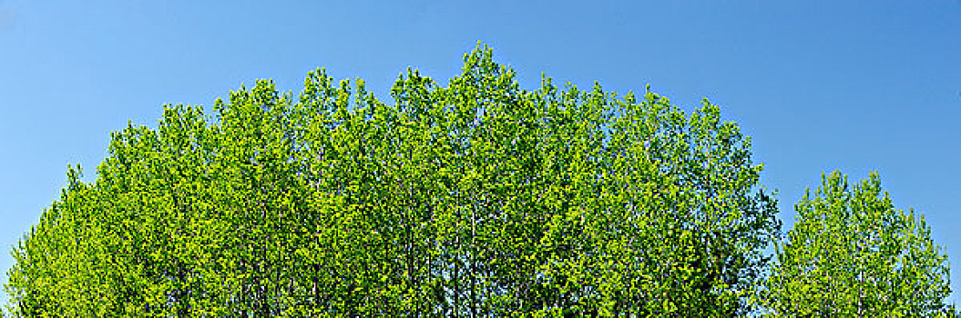 北京月嫂價格是多少錢？揭秘高品質(zhì)月嫂服務(wù)的市場行情與價值