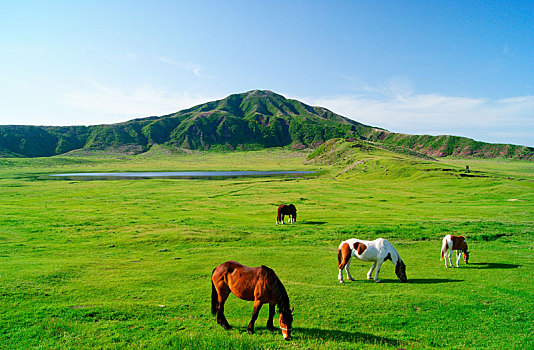 廈門家政服務(wù)一月多少錢？為你解答疑問(wèn)，揭開(kāi)價(jià)格背后的秘密！
