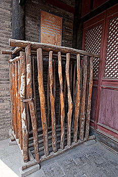 黑虎斑緬因貓多少錢(qián)一只？了解價(jià)格背后的魅力與養(yǎng)護(hù)知識(shí)