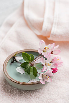 上海有多少月嫂公司？月嫂行業(yè)的快速發(fā)展與未來趨勢(shì)