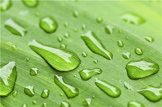 附近找保姆一個(gè)月多少錢？讓你了解保姆費(fèi)用的真相！