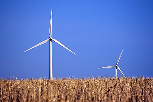 《拆彈專家2》投入多少錢？揭秘電影投資背后的巨大成本與回報