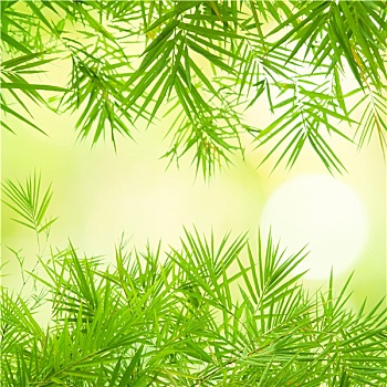 拉薩找保姆工作多少錢？揭秘高薪背后的行業(yè)內(nèi)幕