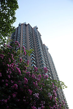 建德保姆多少錢？如何選擇合適的保姆服務(wù)？