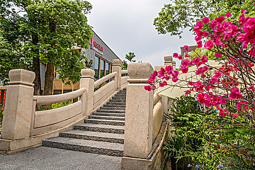 翰皇貼掌多少錢(qián)？揭秘翰皇貼掌的價(jià)值與效果