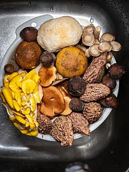 家政保姆一個月多少錢？揭開價格背后的真相