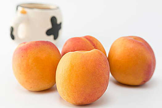 保姆做家務(wù)多少錢？輕松解答你關(guān)心的家庭服務(wù)費(fèi)用