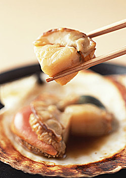 月嫂鐘點(diǎn)工一般多少錢(qián)？揭秘服務(wù)收費(fèi)與選擇指南