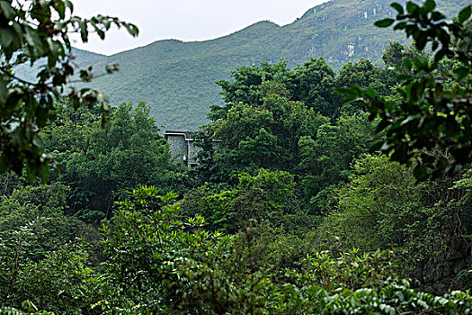 選擇鐘點(diǎn)工服務(wù)，如何合理預(yù)算鐘點(diǎn)工價(jià)格？