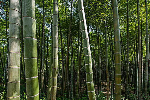 小時(shí)工一般多少錢？全面了解小時(shí)工的工資現(xiàn)狀與趨勢(shì)