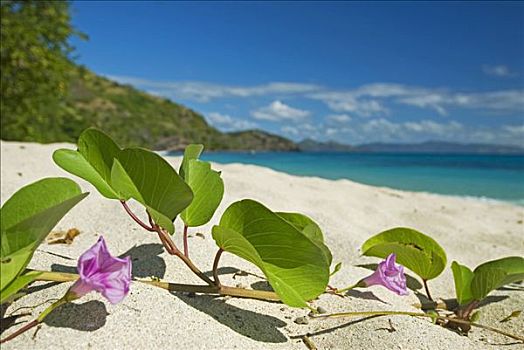 上海月嫂月收入多少錢(qián)？揭秘行業(yè)內(nèi)的真實(shí)收入水平