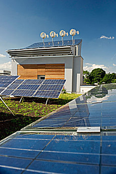 《風平浪靜》預計票房分析：一場觸動心靈的電影盛宴
