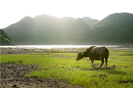 長(zhǎng)沙請(qǐng)人搞衛(wèi)生多少錢？了解價(jià)格背后的秘密，輕松打造干凈整潔家居