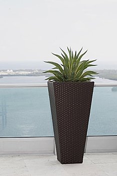 臨安住家保姆月薪多少？探秘這個(gè)行業(yè)背后的真相