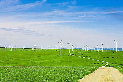 浦東家政協(xié)會電話多少？一站式解決您的家政需求