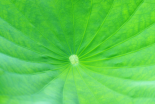 無(wú)錫鐘點(diǎn)工要多少錢？如何選擇適合你的鐘點(diǎn)工服務(wù)