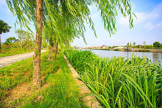 大興區(qū)找鐘點(diǎn)工多少錢？全面解析如何挑選性價(jià)比高的鐘點(diǎn)工服務(wù)！