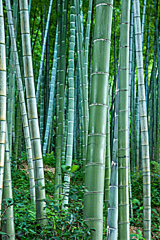 照顧老人行業(yè)：月薪多少才能體現(xiàn)價(jià)值？