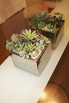 小保姆多少錢(qián)一個(gè)月？揭開(kāi)背后隱藏的秘密