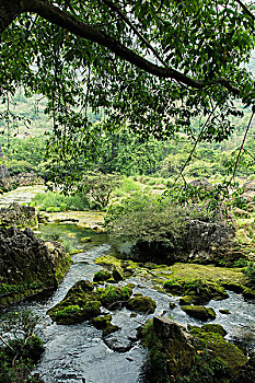 重慶南川請(qǐng)保姆多少錢？揭秘南川地區(qū)保姆市場(chǎng)與服務(wù)