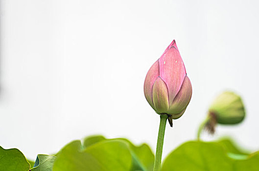 請(qǐng)一個(gè)鐘點(diǎn)工做飯多少錢(qián)？?jī)r(jià)格解析與選擇指南