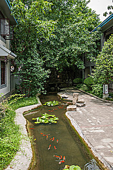 找個住家保姆要多少錢？全面解析住家保姆費用與選擇技巧