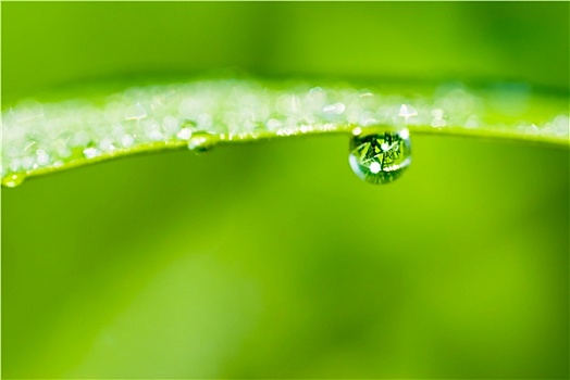 秦皇島保姆工資揭秘：高薪背后的行業(yè)潛力