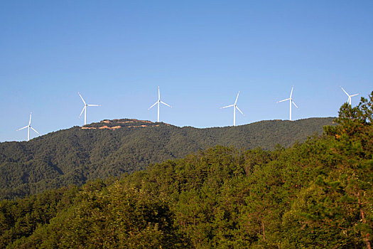 溫暖的擁抱多少票房回本？這部電影如何讓你愛上它