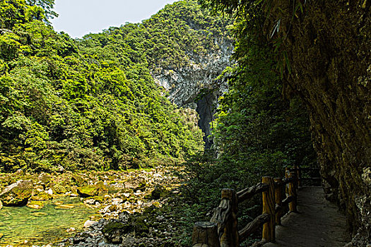合肥家政公司數(shù)量大揭秘，市場(chǎng)需求爆發(fā)式增長(zhǎng)！