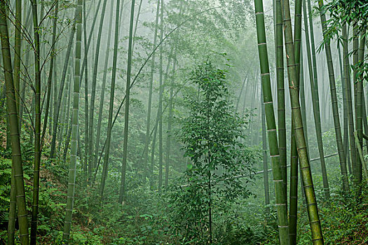 大興區(qū)鐘點工得多少錢？了解一手信息，輕松選擇優(yōu)質(zhì)服務！