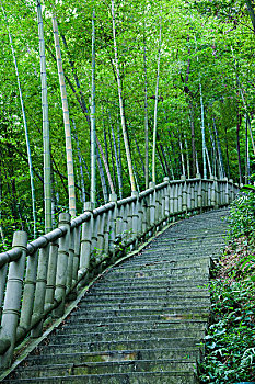 醫(yī)院專職護(hù)工多少錢？專業(yè)護(hù)工服務(wù)的價(jià)值解析
