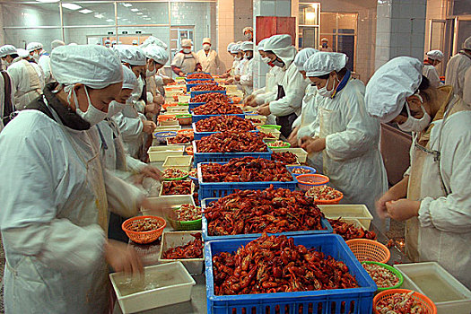 家政加盟的多少錢？讓你輕松開啟創(chuàng)業(yè)之路！