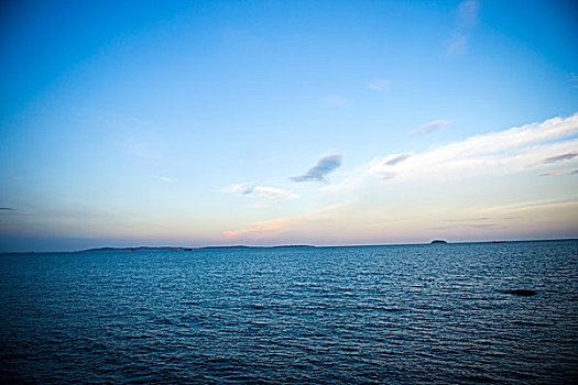 海獸之子票房多少錢夠本？揭開影片背后的票房秘密！