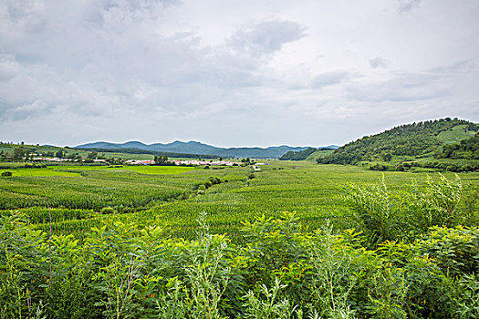 濟(jì)南家政服務(wù)費(fèi)用揭秘，了解每一天的收費(fèi)標(biāo)準(zhǔn)