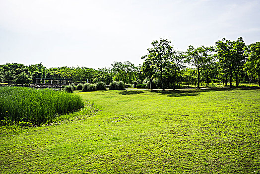 深圳保姆工資是多少？全方位解讀深圳保姆市場(chǎng)行情