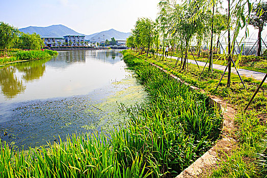 日照保姆一個(gè)月多少錢(qián)？為你揭開(kāi)家政服務(wù)的真實(shí)價(jià)格