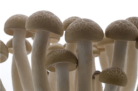 北京育兒保姆多少錢？揭秘價格與選擇的智慧